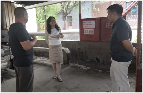 ƽ����(pinnacle)�ٷ���վ