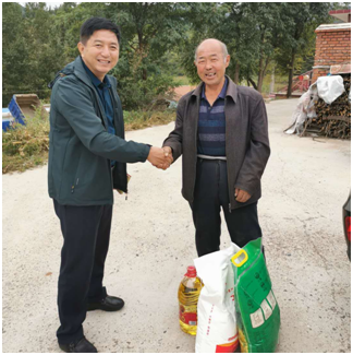 ƽ����(pinnacle)�ٷ���վ