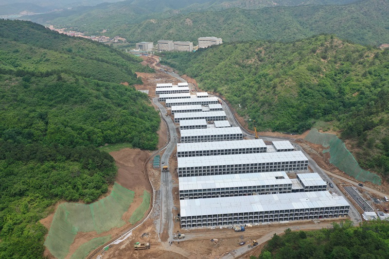 ƽ����(pinnacle)�ٷ���վ